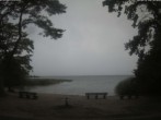 Archived image Webcam Boek (Müritz) 09:00