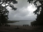 Archived image Webcam Boek (Müritz) 11:00