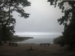 Archiv Foto Webcam Boek an der Müritz - Ostufer 09:00