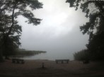 Archiv Foto Webcam Boek an der Müritz - Ostufer 11:00
