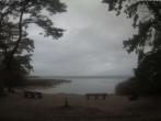 Archiv Foto Webcam Boek an der Müritz - Ostufer 09:00