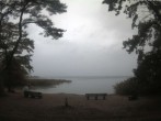 Archiv Foto Webcam Boek an der Müritz - Ostufer 11:00