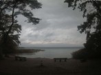 Archiv Foto Webcam Boek an der Müritz - Ostufer 13:00