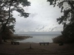 Archiv Foto Webcam Boek an der Müritz - Ostufer 15:00