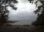 Archived image Webcam Boek (Müritz) 11:00