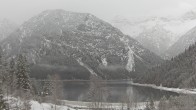 Archiv Foto Webcam Plansee Seespitze 12:00