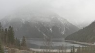 Archiv Foto Webcam Plansee Seespitze 15:00