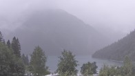 Archiv Foto Webcam Plansee Seespitze 11:00