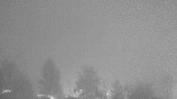 Archiv Foto Webcam Plansee Seespitze 03:00