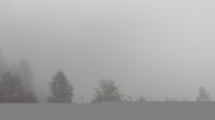 Archiv Foto Webcam Plansee Seespitze 08:00