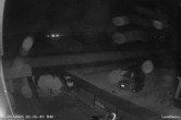 Archiv Foto Webcam Langeoog: Landhaus am Schniederdamm 01:00