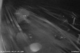 Archiv Foto Webcam Langeoog: Landhaus am Schniederdamm 00:00