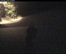 Archiv Foto Webcam Langeoog: Atelierausblick Inselmaler Anselm 01:00