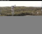 Archiv Foto Webcam Langeoog: Atelierausblick Inselmaler Anselm 15:00