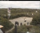Archiv Foto Webcam Langeoog: Atelierausblick Inselmaler Anselm 09:00