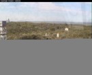 Archiv Foto Webcam Langeoog: Atelierausblick Inselmaler Anselm 13:00