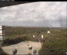 Archiv Foto Webcam Langeoog: Atelierausblick Inselmaler Anselm 11:00