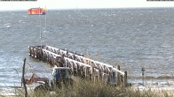 Archived image Webcam Föhr - Hotel Jensen 09:00