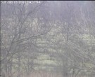 Archived image Webcam Wrixum - Panorama 13:00