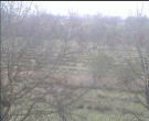 Archived image Webcam Wrixum - Panorama 06:00