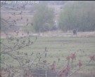 Archived image Webcam Wrixum - Panorama 11:00