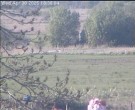 Archiv Foto Webcam Wrixum - Inselhotel Arfsten 17:00
