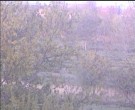 Archiv Foto Webcam Wrixum - Inselhotel Arfsten 19:00