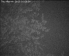 Archiv Foto Webcam Wrixum - Inselhotel Arfsten 03:00