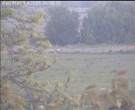 Archiv Foto Webcam Wrixum - Inselhotel Arfsten 05:00