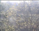 Archiv Foto Webcam Wrixum - Inselhotel Arfsten 06:00