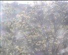 Archiv Foto Webcam Wrixum - Inselhotel Arfsten 07:00