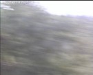 Archiv Foto Webcam Wrixum - Inselhotel Arfsten 09:00