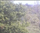 Archiv Foto Webcam Wrixum - Inselhotel Arfsten 13:00