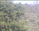 Archiv Foto Webcam Wrixum - Inselhotel Arfsten 15:00