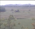 Archiv Foto Webcam Wrixum - Inselhotel Arfsten 11:00
