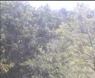 Archiv Foto Webcam Wrixum - Inselhotel Arfsten 11:00