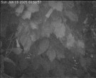 Archiv Foto Webcam Wrixum - Inselhotel Arfsten 03:00
