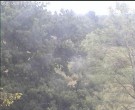 Archiv Foto Webcam Wrixum - Inselhotel Arfsten 09:00