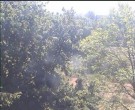 Archiv Foto Webcam Wrixum - Inselhotel Arfsten 09:00