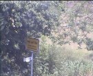 Archiv Foto Webcam Wrixum - Inselhotel Arfsten 13:00