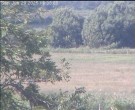 Archiv Foto Webcam Wrixum - Inselhotel Arfsten 15:00