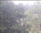 Archiv Foto Webcam Wrixum - Inselhotel Arfsten 05:00