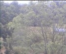 Archiv Foto Webcam Wrixum - Inselhotel Arfsten 07:00