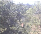 Archiv Foto Webcam Wrixum - Inselhotel Arfsten 11:00