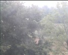 Archiv Foto Webcam Wrixum - Inselhotel Arfsten 06:00