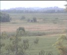Archiv Foto Webcam Wrixum - Inselhotel Arfsten 11:00