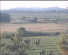 Archiv Foto Webcam Wrixum - Inselhotel Arfsten 19:00
