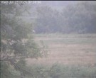 Archiv Foto Webcam Wrixum - Inselhotel Arfsten 06:00