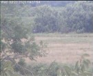 Archiv Foto Webcam Wrixum - Inselhotel Arfsten 13:00