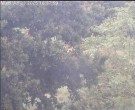 Archiv Foto Webcam Wrixum - Inselhotel Arfsten 15:00